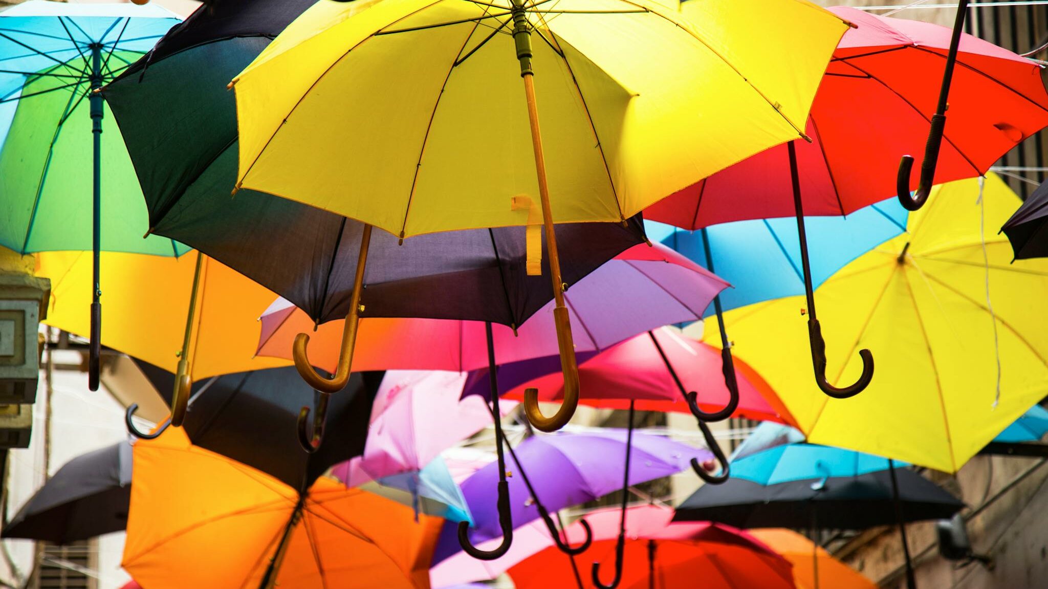 Assorted-colors Umbrella